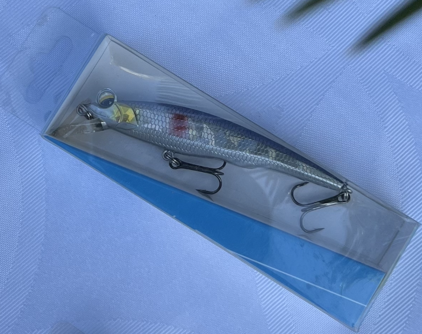 Hard Plastic Lures