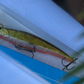 Hard Plastic Lures