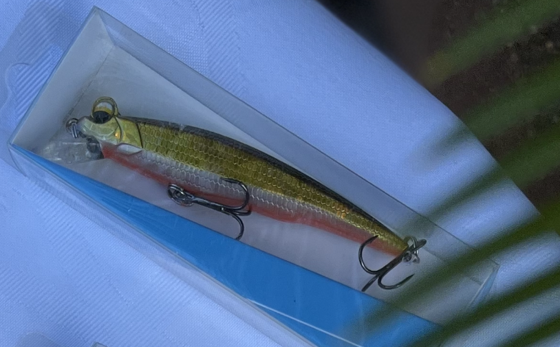 Hard Plastic Lures