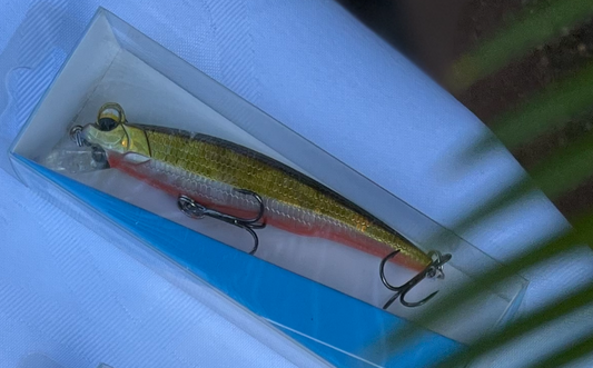 Hard Plastic Lures